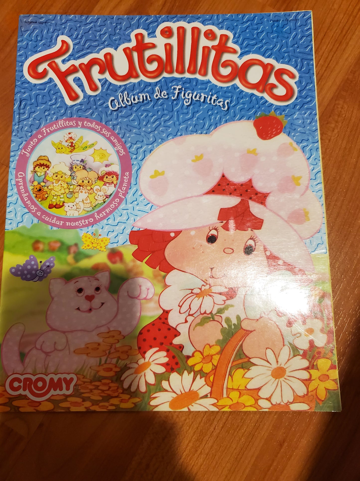 Sticker Books -Near Mint - Unused - From Argentina - Strawberry Shortcake
