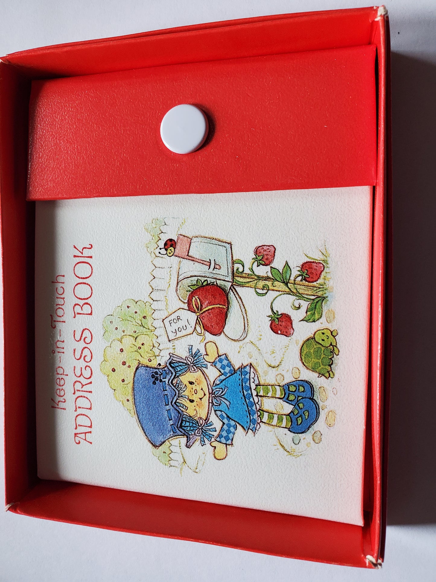 Address Book - Blueberry Muffin - Mint in Box - Strawberry Shortcake