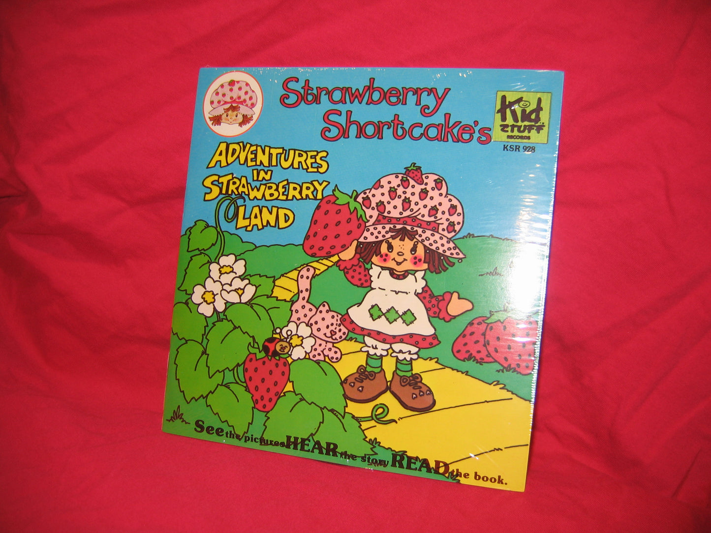 Book with Record - Mint in Package - Adventures in Strawberry Land