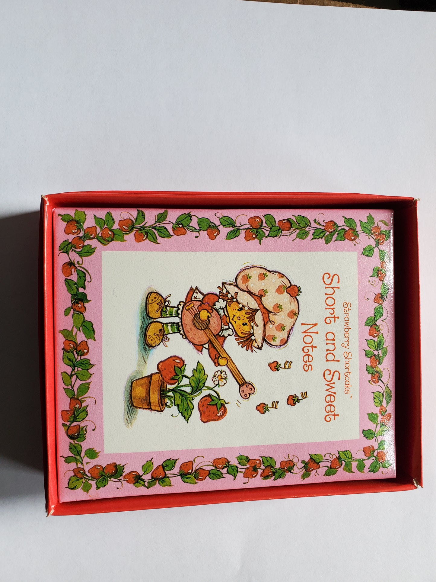 Notepad  - Mint in Package - Short and Sweet Notes -  Strawberry Shortcake